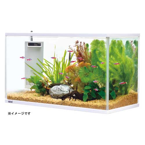 GEX サイレントフィットアルファ500【水槽セット】【飼育セット】の