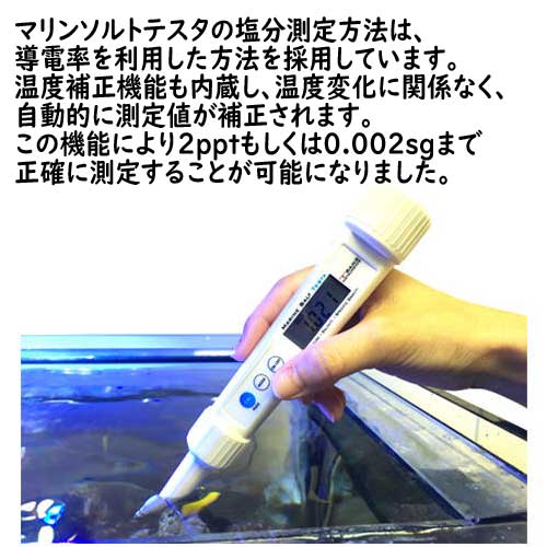 マーフィード マリンソルトテスタ 取寄商品の通販はau PAY