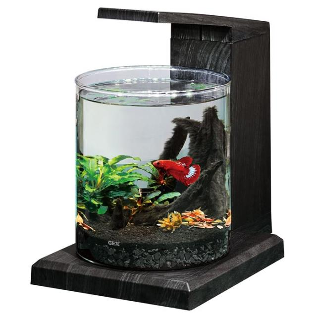 ジェックス GEX グラスアクア PERCO C-Charcoal Black オールインワン