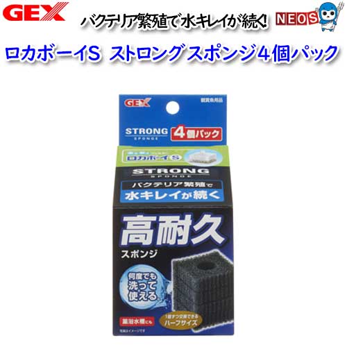 GEX　ロカボーイS　ストロングスポンジ4個パック