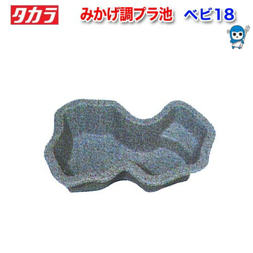 タカラ　みかげ調プラ池　ベビ18　左右向き指定不可  【水槽/熱帯魚/観賞魚/飼育】【生体】【通販/販売】【アクアリウム/あくありうむ】