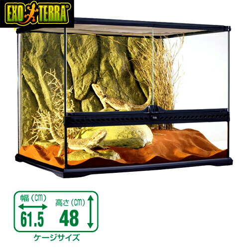 美品！GEX ジェックス グラステラリウム 大型 6045 爬虫類/飼育用ゲージ imgrc0104808497.jpg