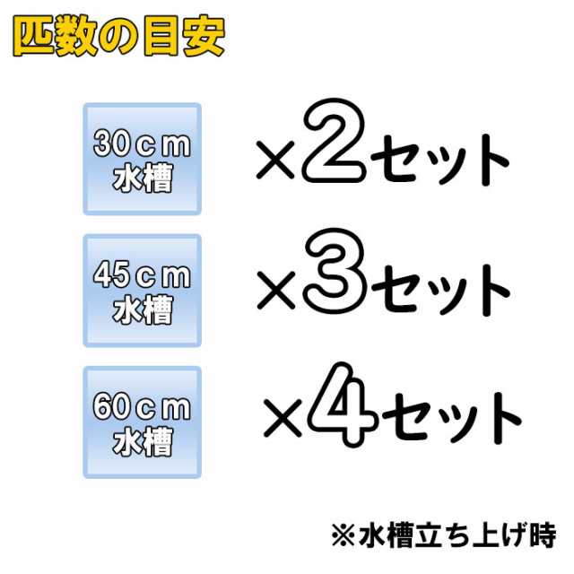 熱帯魚 生体 バリューセット ５種類以上入っています おまかせカラシン ラスボラ バルブ 約１ ５ ２ ５cm １０匹 水槽 の通販はau Wowma 熱帯魚通販のネオス