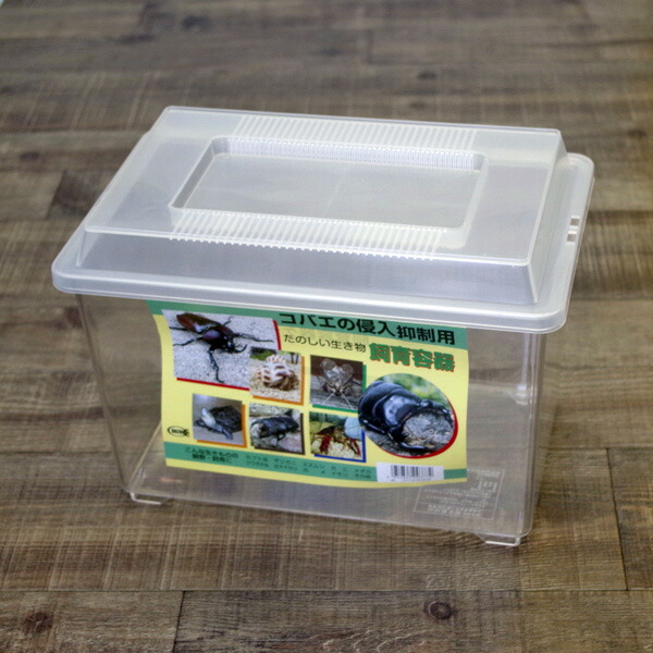 鈴木製作所 コバエの侵入抑制用 たのしい生き物 飼育容器 中 仕切りつき 水槽 熱帯魚 観賞魚 飼育 生体 通販 販売 アの通販はau Pay マーケット 熱帯魚通販のネオス