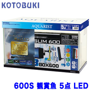 コトブキ　600S 観賞魚 5点 LED W 600 × D 295 × H 360 【水槽セット】【飼育セット】　 【新着】 【水槽/熱帯魚/観賞魚/飼育/セット水槽/オブジェ】【生体】【通販/販売】【アクアリウム/あくありうむ】