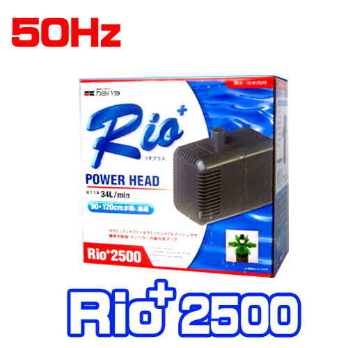 カミハタ　リオプラスRio+2500 パワーヘッド 50Hz　  【水槽/熱帯魚/観賞魚/飼育】【生体】【通販/販売】【アクアリウム/あくありうむ】 の通販は