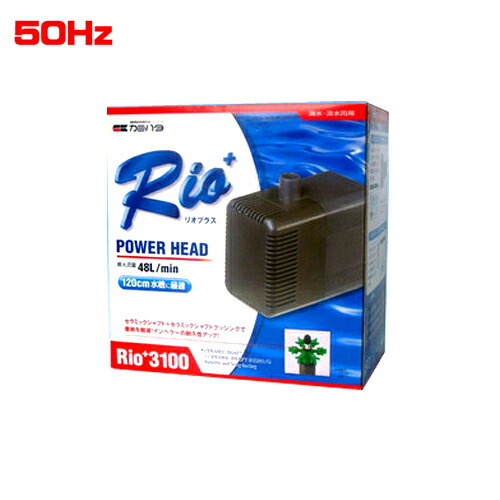 カミハタ　リオプラスRio+3100 パワーヘッド 50Hz　  【水槽/熱帯魚/観賞魚/飼育】【生体】【通販/販売】【アクアリウム/あくありうむ】 の通販は