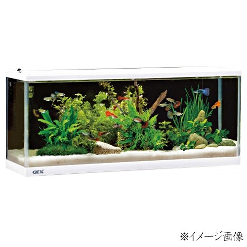 GEX デスクボーイ WH600 【水槽セット】【飼育セット】 【水槽/熱帯魚/観賞魚/飼育/セット水槽/オブジェ】【生体】【通販/販売】【アクアリウム/あくありうむ】  の通販はau PAY マーケット - 熱帯魚通販のネオス | au PAY マーケット－通販サイト