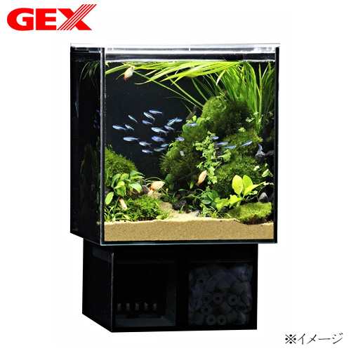 Gex グラステリア Ags アグス Of 230 熱帯魚 水槽セット 水槽セット 飼育セット スタイリッシュ水槽 水槽 熱帯魚 の通販はau Pay マーケット 熱帯魚通販のネオス