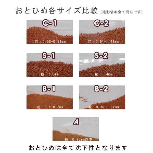 おとひめ A 沈下性 粒０ ２５mm以下 1ｋｇ 取り寄せ品 えさ エサ 観賞魚 餌やり 水槽 熱帯魚 観賞魚 飼育 生体 の通販はau Pay マーケット 熱帯魚通販のネオス