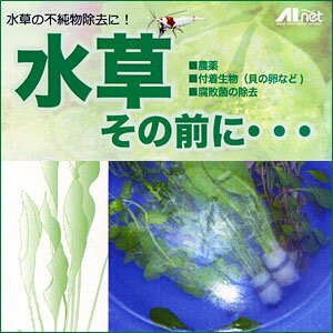 ネコポス290円ａｉネット 水草その前に 農薬 付着生物を安全に除去 水槽 熱帯魚 観賞魚 飼育 生体 通販 販売 の通販はau Pay マーケット 熱帯魚通販のネオス