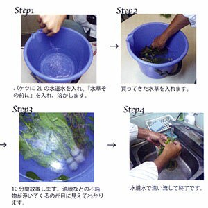 ネコポス290円ａｉネット 水草その前に 農薬 付着生物を安全に除去 水槽 熱帯魚 観賞魚 飼育 生体 通販 販売 の通販はau Pay マーケット 熱帯魚通販のネオス