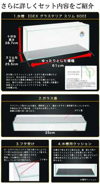 水槽set】スーパーSET 13点 60cm 水槽セット ビギナーから経験者まで 必要な用品が全部揃う の通販はau PAY マーケット - 熱帯魚 通販のネオス