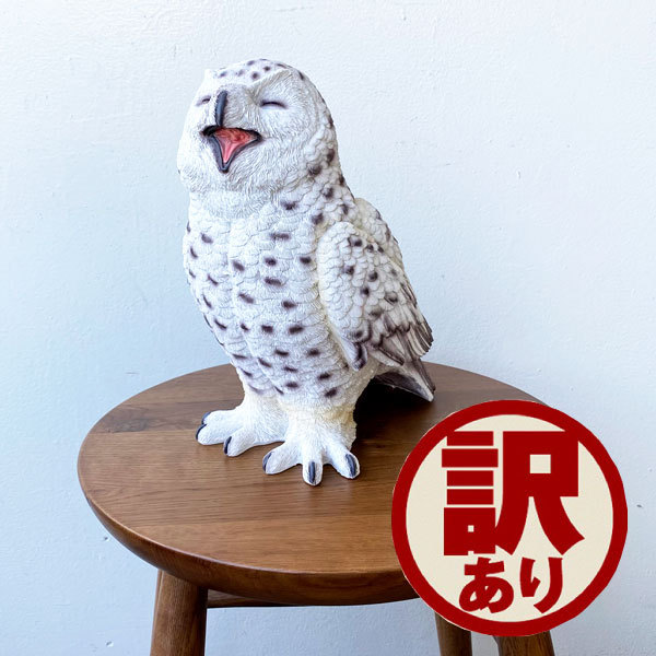ふくろう フクロウ ホワイト 白 置物 おしゃれ インテリア雑貨 かわいい アニマル Owl オウル 訳あり アウトレット Outletの通販はau Pay マーケット ウッドギャラリー樹 ふくろう フクロウ ホワイト 白 置物 おしゃれ インテリア雑貨 かわいい アニマル Owl オウル 訳あり アウトレット Outletの通販はau Pay マーケット ウッドギャラリー樹