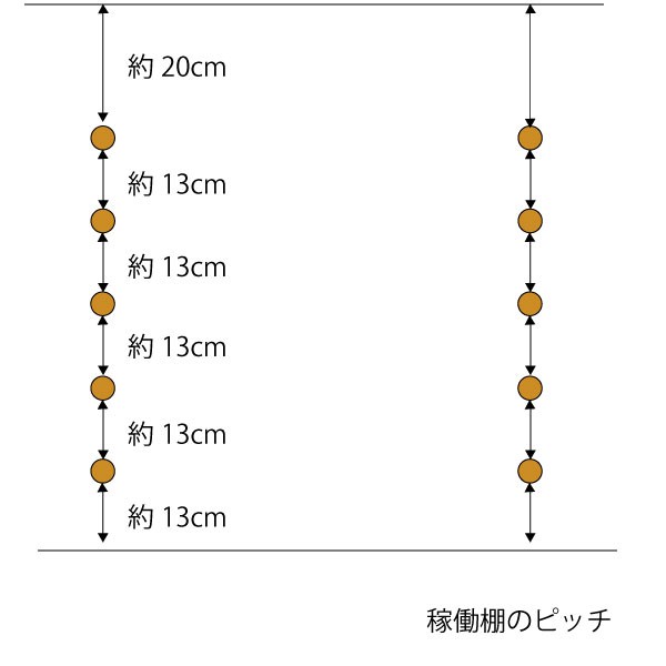 キャビネット ガラス クラシック アンティーク ツイスト脚 木製 天然木 扉付き 飾り棚 ショーケース オーク無垢