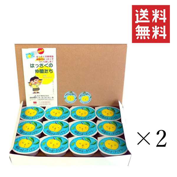 クーポン配布中!! 広島果実連 因島農協 はっさくゼリー 24個×2箱セット まとめ買い 銘菓 ご当地 お土産 ゼリー 人気 八朔の通販は