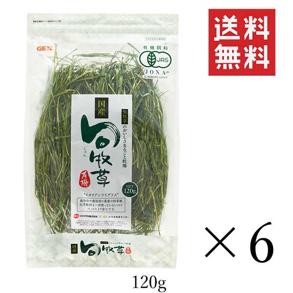 【即納】GEX ジェックス 旬牧草イタリアンライグラス 120g×6個セット まとめ買い うさぎ ペレット 牧草 小動物