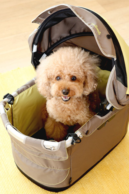 コンビ コムペット ミリミリリミテッド トゥインクルネイビー 犬 多頭