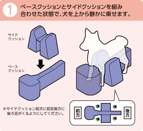 アロン化成 OneAid ワンエイド 姿勢サポートクッション DL ペット用
