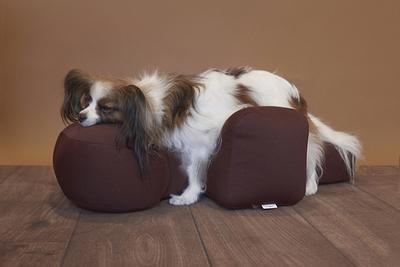 アロン化成(ワンエイド)リラクッション L(中大型犬〜20kg目安)ブラウン