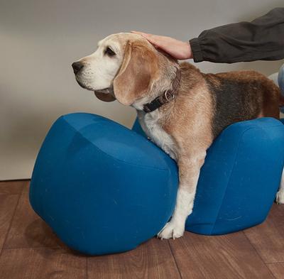 アロン化成 OneAid ワンエイド リラクッション ベージュ L ペット用 大型犬 姿勢 サポート 老犬 ペット用介護 足腰サポート リラックス_4