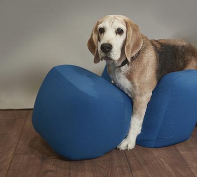 アロン化成 OneAid ワンエイド リラクッション ベージュ L ペット用 大型犬 姿勢 サポート 老犬 ペット用介護 足腰サポート リラックス_5