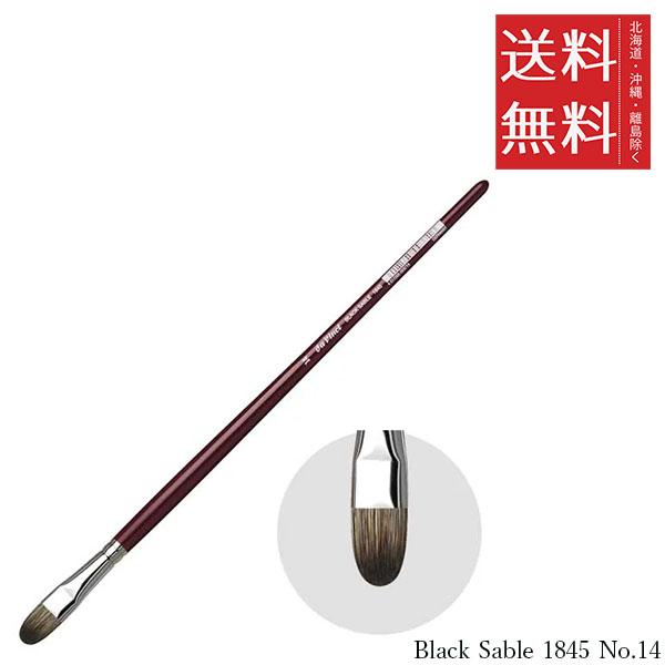メール便/送料無料 ホルベイン ダ ヴィンチ画筆 Black Sable 1845 No.14