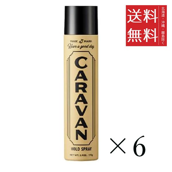 DEMI  デミ キャラバン ホールドスプレー 170g×6個セット まとめ買い ヘアセット ヘアケア スタイリング剤 サロン専売 送料無料