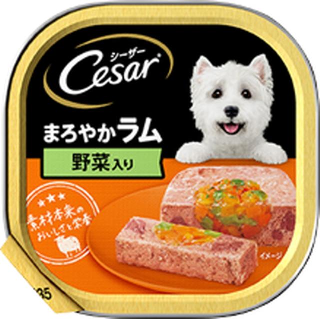 【96個セット】 マースジャパンリミテッド シーザーまろやかラム野菜入り100g
