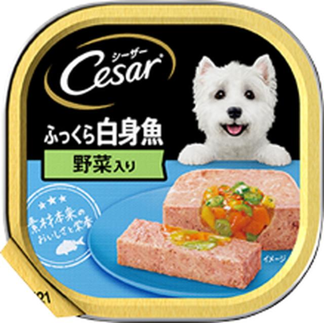 【48個セット】 マースジャパンリミテッド  シーザーふっくら白身魚野菜入り100g