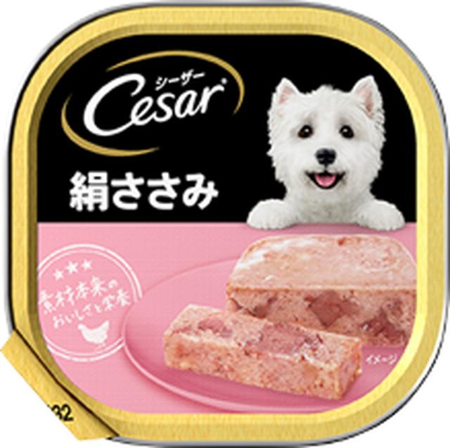 【48個セット】 マースジャパンリミテッド  シーザー絹ささみ100g