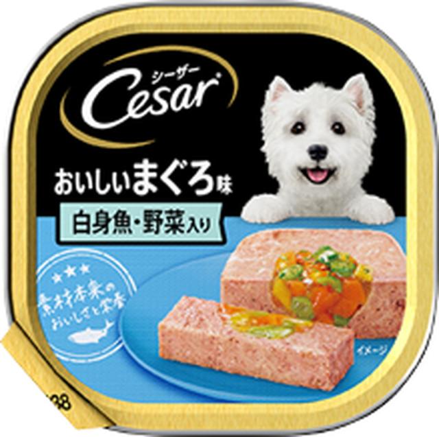 【48個セット】 マースジャパンリミテッド  シーザーおいしいまぐろ味白身魚・野菜入り100g