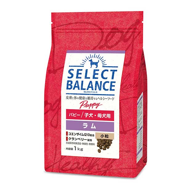 【8個セット】ベッツ・チョイス・ジャパン セレクトバランス パピー ラム 小粒 子犬・母犬用 1kg