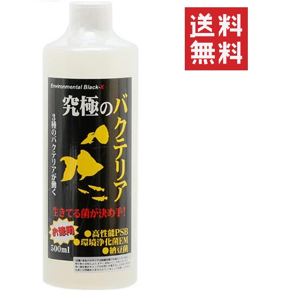 【6個セット】ビーブラスト B-blast 究極のバクテリア 500ml