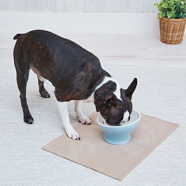 【6個セット】PETIO用品犬用食器Porta脚付き食器M_3