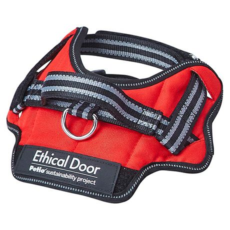 ペティオ アドメイト アーガイルハーネス S 小型犬用胴輪 オレンジ 1個入 (A57158) 5個セット ペティオ アドメイト アーガイルハーネス S 小型犬用胴輪 オレンジ 1個