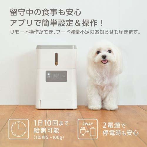 ジェックス 【4個セット】PURE　PET　AUTO　FEEDER