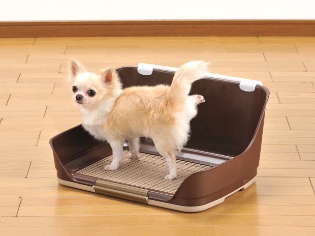 【2個セット】ボンビアルコン しつけるウォールトレーSブラウン