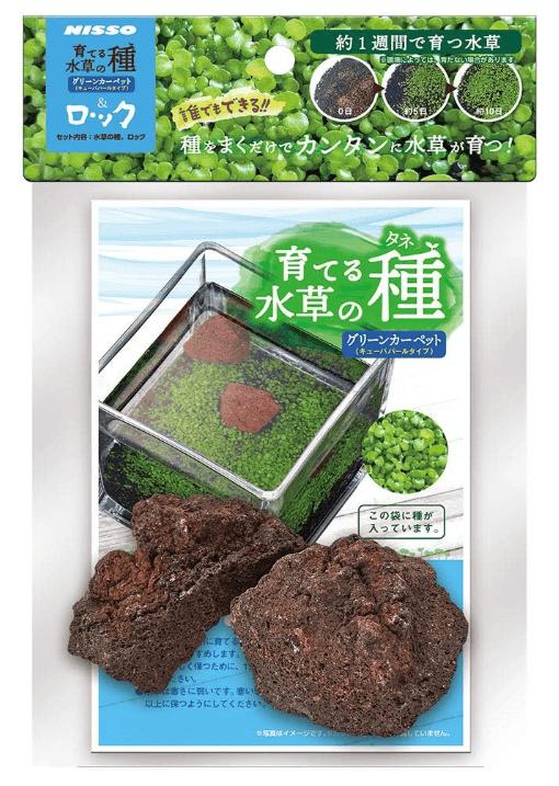 【12個セット】株式会社マルカン（ニッソー）育てる水草の種グリーンカーペット＆ロック