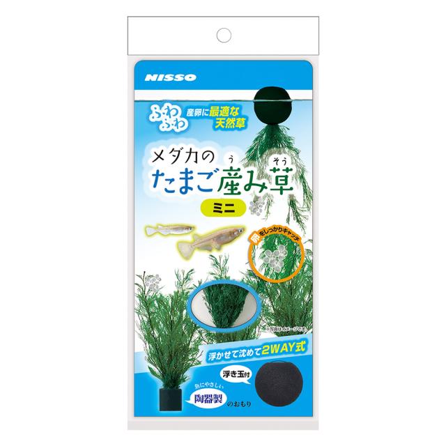 【同梱不可】 【24個セット】株式会社マルカン(ニッソー) メダカのたまご産み草ミニ