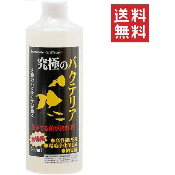 クーポン配布中!! ビーブラスト B-blast 究極のバクテリア 500ml 観賞魚 熱帯魚 水槽 濾過 送料無料の通販はau PAY マーケット  - スペシャルスペース au PAY マーケット店