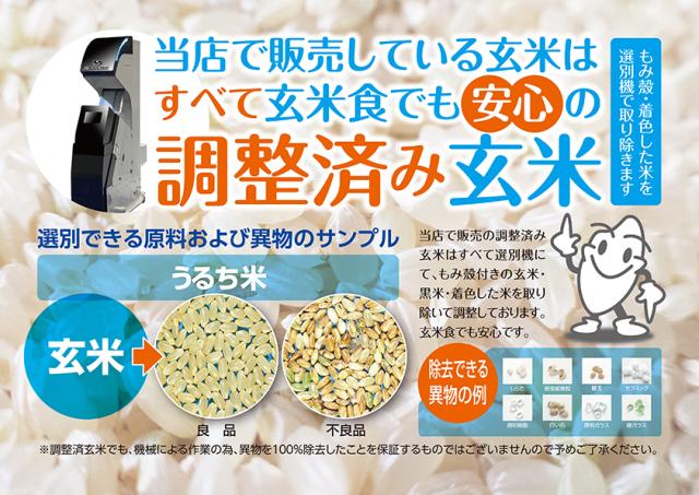米 お米 令和7年産 福島県中通り産 コシヒカリ 玄米:30kg(白米:約27kg) 精米無料 送料無料 ※一部地域を除く ※沖縄県・離島配送不可_1