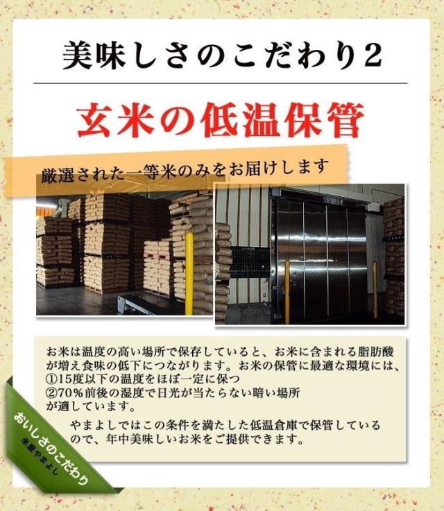 【30kg×1袋】生活応援米 ブレンド米 30kg(30kg×1袋) 国内産複数原料米 送料無料 ※一部地域を除く ※沖縄県・離島配送不可 ※米袋のままでの配送_4