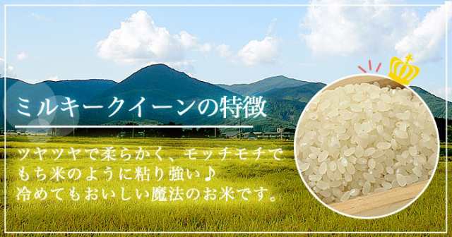 新米 お米 令和4年産 福島県中通り産ミルキークイーン白米10kg(5kg×2個) 送料無料 ※一部地域を除くの通販はau PAY マーケット -  米屋やまよし