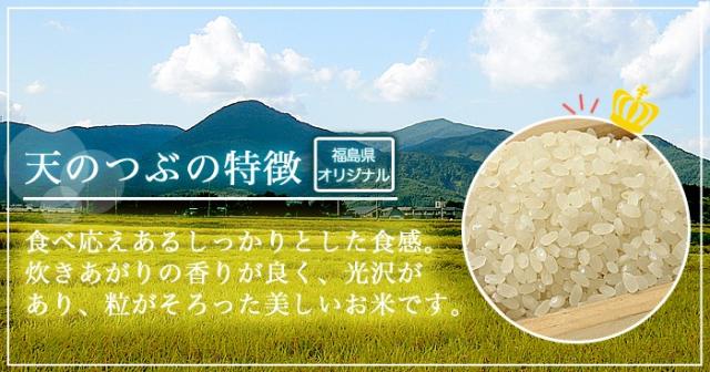 米 お米 令和7年産 福島県中通り産 天のつぶ 白米:25kg(5kg×5個) 送料無料 ※一部地域を除く ※沖縄県配送不可_2