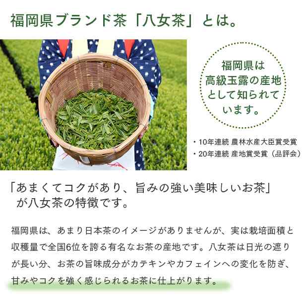 お茶 八女茶 ペットボトル 350ml 48本 (24本×2ケース) PET ブランド茶 緑茶 産地直送 国内 安心 小容量 やめちゃ 福岡県  高級玉露 産地｜au PAY マーケット