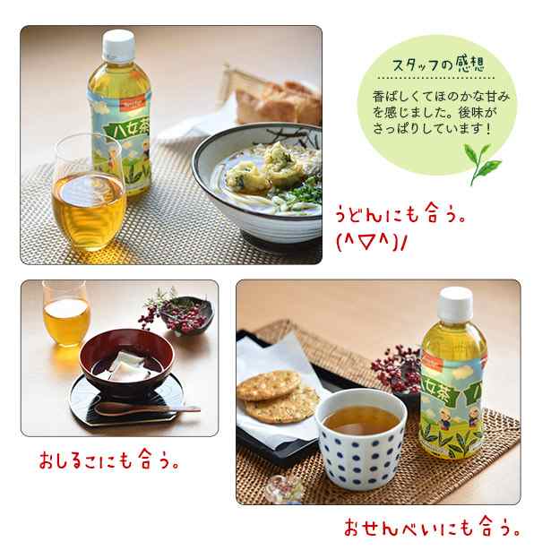 お茶 八女茶 ペットボトル 350ml 48本 (24本×2ケース) PET ブランド茶