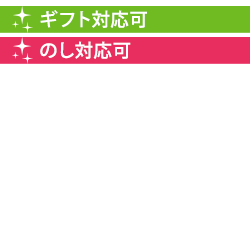 ワイン 赤ワイン 送料無料 ケース販売12本入 キャンティ・コッリ・フィオレンティーニ マレンキーニ 2021年 イタリア トスカーナ フルボディ 750ml_2