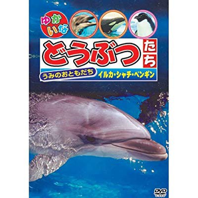 うみのおともだち イルカ シャチ ペンギン Dvd 中古品 の通販はau Pay マーケット エッジ