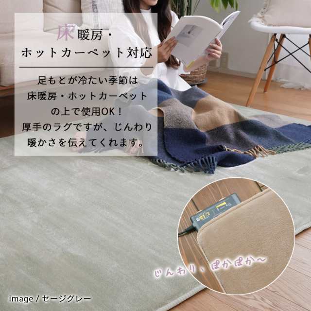 低反発 高反発 3層ウレタン フランネルラグ 【190×240cm】 LM-102 トシシミズ Natural Postureの通販はau PAY  マーケット - 内装応援団 | au PAY マーケット－通販サイト